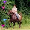 Donna Henrich - @donna.henrich - TikTok