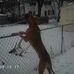 Don Henzel - Facebook