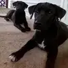 Donna Herbst - @donna.herbst - TikTok