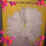@donherring033 - Instagram