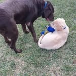 Don Herrmann - @donhern8756 - Instagram