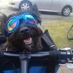 Don Hershey - @don_hershey - Instagram