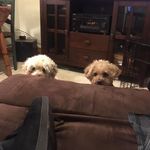Don Hess - @don.hess.5 - Instagram