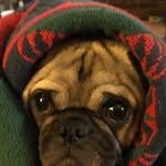 Don Hess - @donhess1010 - Instagram