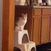 Don Hewitt - Facebook