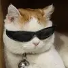 Don hidalgo - @hidalgomontero - TikTok
