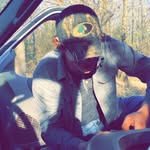 Don Higgins - @blaze_through_haze_57days - Instagram