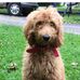 Don Higgs - Facebook