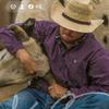 Dan Hildebrand - @danhildebrand - TikTok
