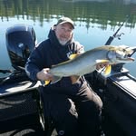 Don Holland - @wheelchairfisherman - Instagram