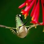 Don Holland - @holland_don - Instagram