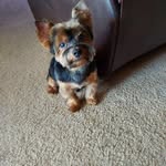 Don Holsinger - @don.holsinger.5 - Instagram