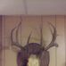 Don Holt - Facebook