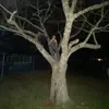 landon_hurley - @landon_hurley - TikTok