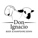 Don Ignacio Boer & Hampshire Down - @agro.don.ignacio - Instagram