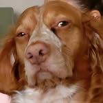 Don Ignacio Fernández-Candau Gómez - @don_ignacio_ - Instagram