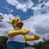 ignacio 🤠👍 - @don_ignacio_ - TikTok
