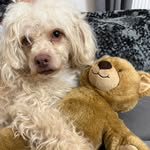 Don Igor - @don_igor33 - Instagram