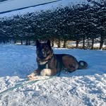 Igor Pavkovic - @don_igore - Instagram