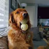 donnaimhoff1 - @donnaimhoff1 - TikTok