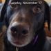 Don Irvin - Facebook