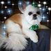 Don Isom - Facebook