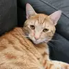 Don Iverson - @don.iverson - TikTok