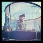 Don Ives - @don_ives - Instagram