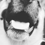 Donivyn - @donivynzeigler02 - Instagram