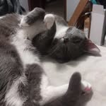 Donivyn Zeigler - @donivynz - Instagram