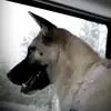 donivynzeigler02 - @donivynzeigler02 - TikTok