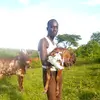 DON JACKS - @user1104245074176 - TikTok