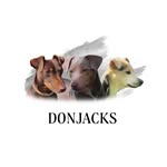 DonJacks Jack Russells - @donjacksjackrussells - Instagram