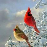 Don Jacobsen - @don.jacobsen.12 - Instagram