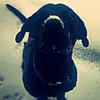 donjacobsen86 - @concretehead - TikTok