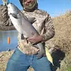 Don james - @don.james83 - TikTok