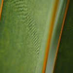 Don Jamieson Architecture - @donjamiesonarchitecture - Instagram