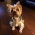 Don Jamison - Facebook