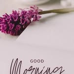 i miss u S+S - @don_jani22 - Instagram
