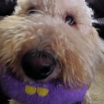 Donald Jankowski - @donaldjankowski - Instagram