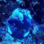 Donald Jankowski - @jankowski5601 - Instagram