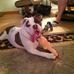 Don Jansen - Facebook