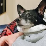 Don Jaquess - @donjaquess - Instagram
