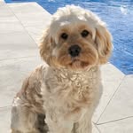 Donna Jeffs - @donna.jeffs1 - Instagram