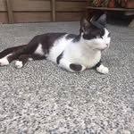 Don Jiang - @donjiang1223 - Instagram