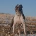 Don D Johnson - Facebook