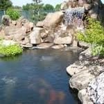 Don Johanson - @austinpondclean - Instagram