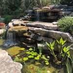 Don Johanson - @austinpondcleaning - Instagram