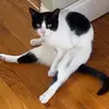 Jong Tok - @don.jong2 - TikTok