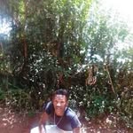 Donjos Silva - @donjossilva - Instagram